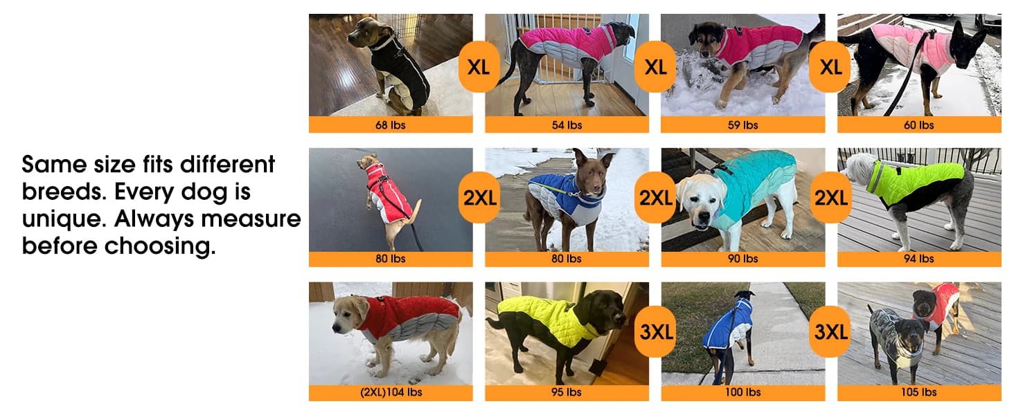 Dog Coat Warm Dog Winter Coat Waterproof Dogs Jacket with Harness — collection imagery