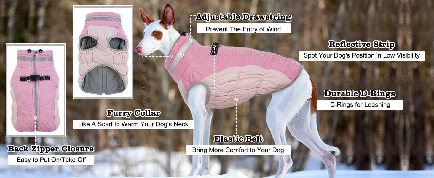 Dog Coat Warm Dog Winter Coat Waterproof Dogs Jacket with Harness — collection imagery