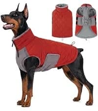 Dog Coat Warm Dog Winter Coat Waterproof Dogs Jacket with Harness — collection imagery