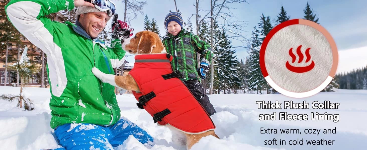 Dog Winter Coat with Harness — collection imagery