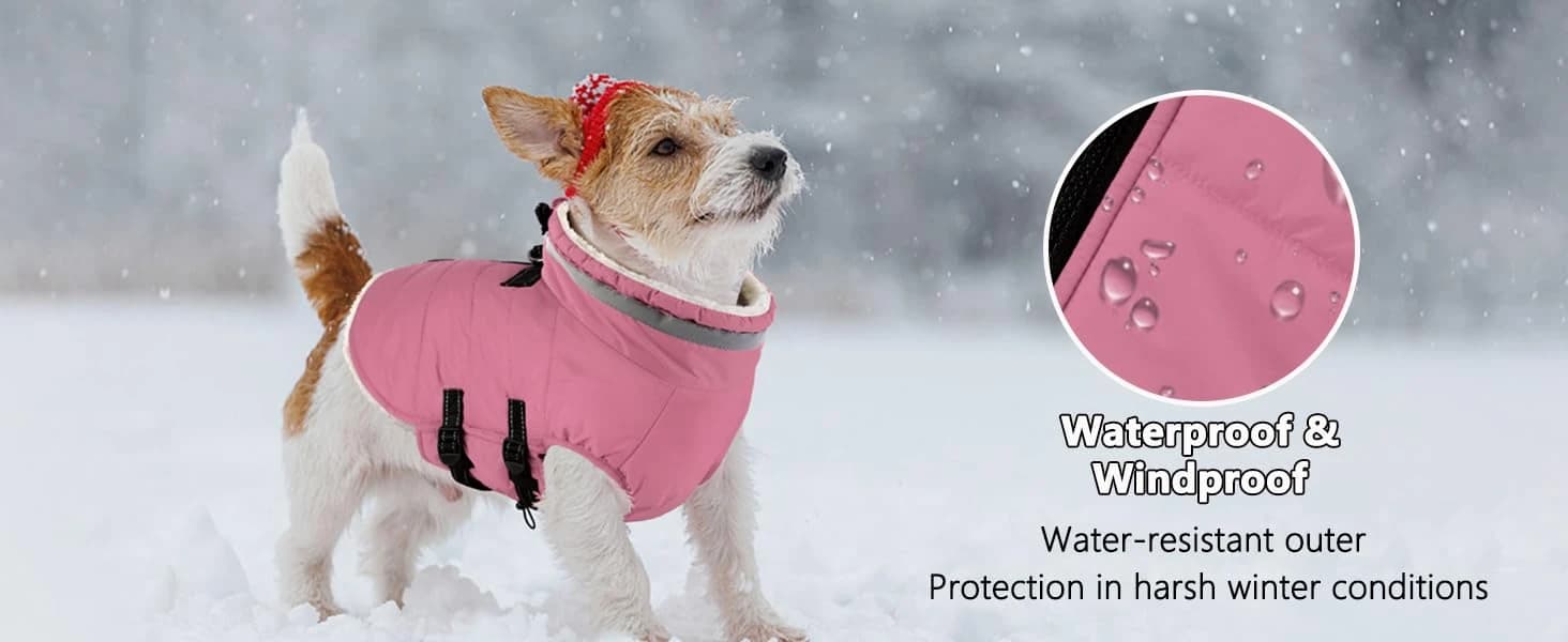 Dog Winter Coat with Harness — collection imagery