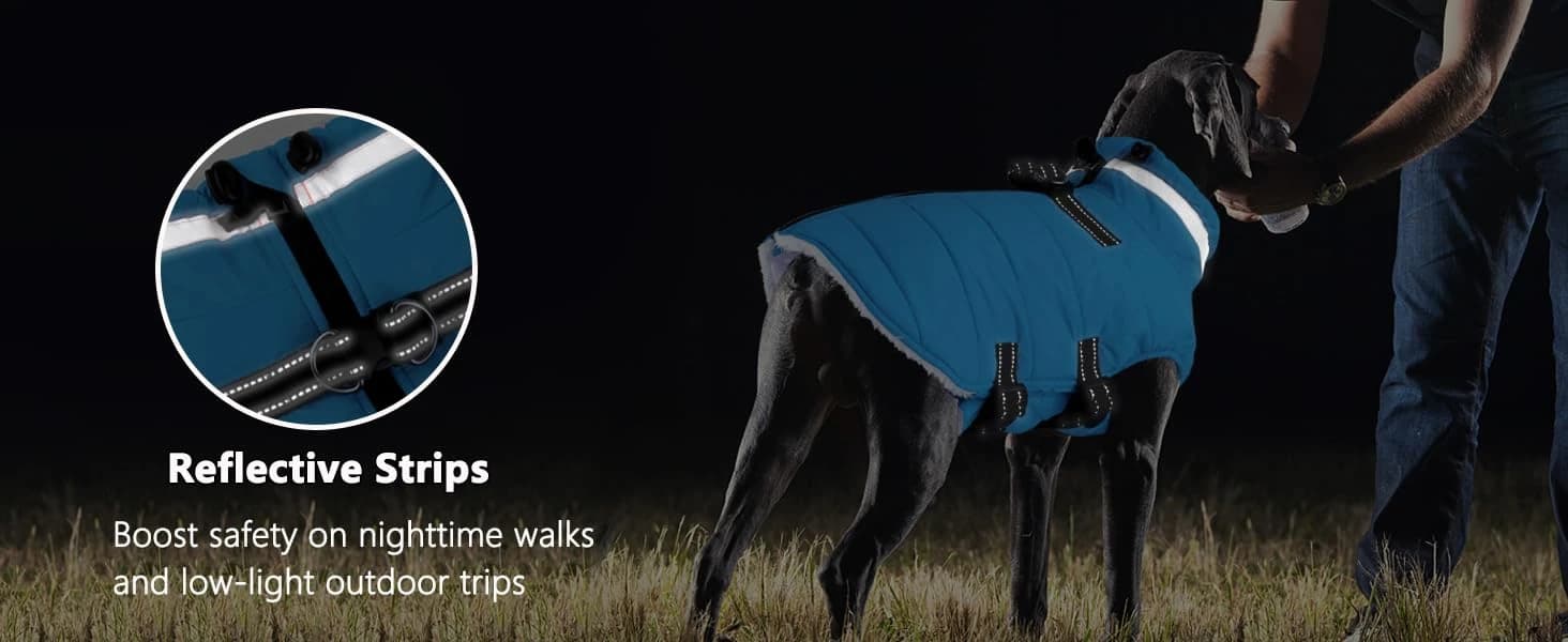 Dog Winter Coat with Harness — collection imagery