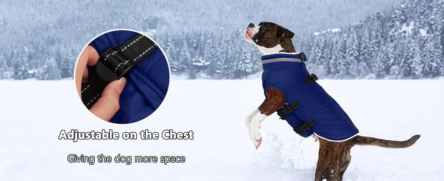 Dog Winter Coat with Harness — collection imagery