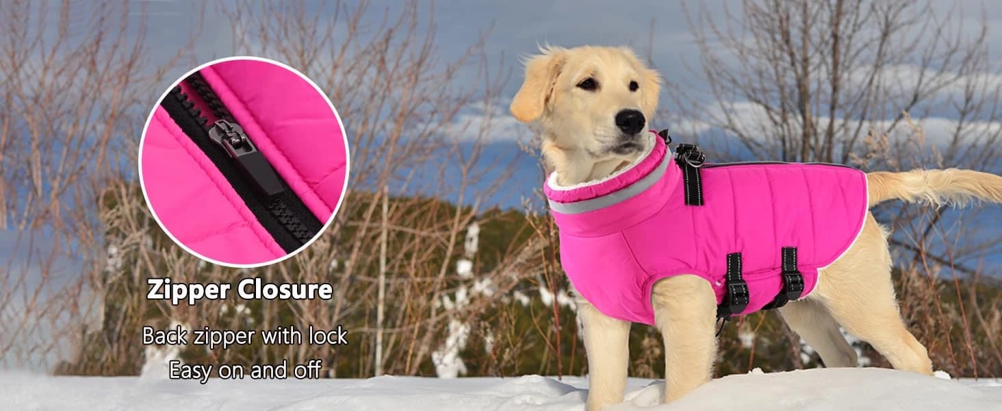 Dog Winter Coat with Harness — collection imagery