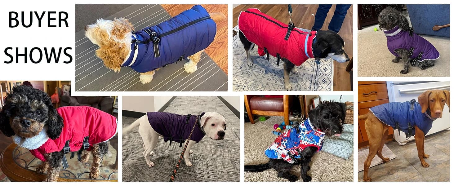 Dog Winter Coat with Harness — 7 Sizes Options-Suited to All Dog Sizes