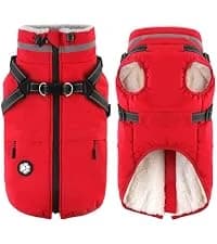 Dog Winter Coat with Harness — collection imagery