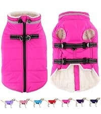 Dog Winter Coat with Harness — collection imagery