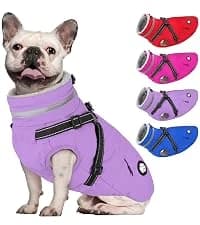 Dog Winter Coat with Harness — collection imagery