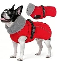 Dog Winter Coat with Harness — collection imagery