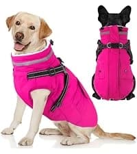Dog Winter Coat with Harness — collection imagery