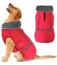Dog Winter Coat with Harness — collection imagery