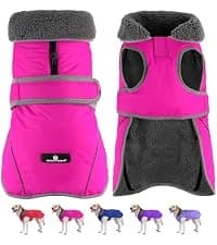 Dog Winter Coat with Harness — collection imagery