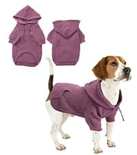 Dog Zip Up Raincoat with Reflective Buttons — collection imagery