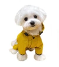 Dog Raincoat — Waterproof Dog Rain Jacket with Hood — collection imagery