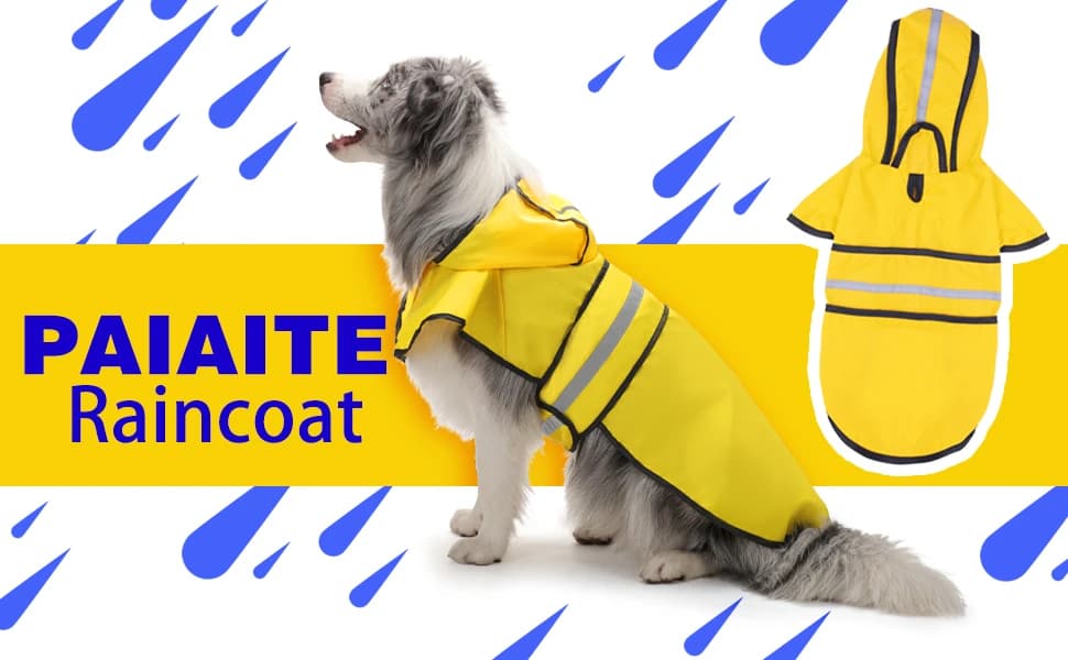 Dog Raincoat: Hooded Slicker Poncho — Provide a intimate accompaniment in talented effort