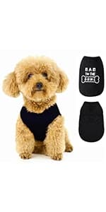 Dog Raincoat: Hooded Slicker Poncho — product details
