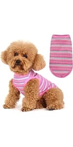 Dog Raincoat: Hooded Slicker Poncho — product details