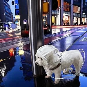 Clear Dog Rain Poncho for Small and Medium Dogs — collection imagery