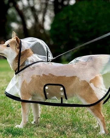 Transparent Dog Rain Poncho for Small and Medium Dogs - Thick Waterproof Raincoat with Hidden Leash Hole & — collection imagery