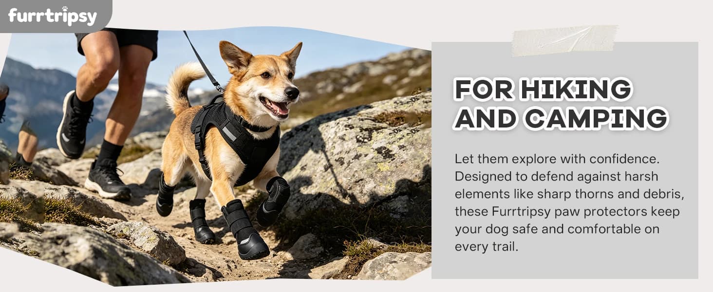 Dog Boots — Rugged Anti-Slip Sole Paw Protectors for Medium and Large Dogs — collection imagery