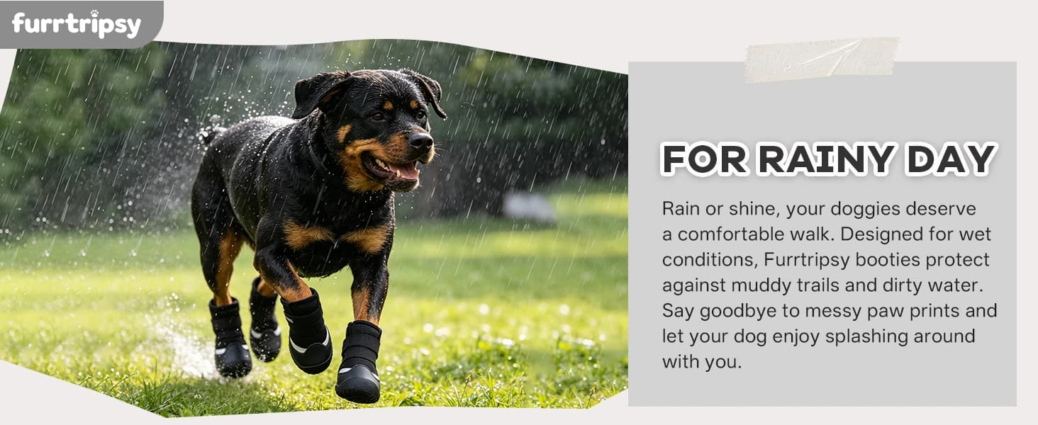 Dog Boots — Rugged Anti-Slip Sole Paw Protectors for Medium and Large Dogs — collection imagery