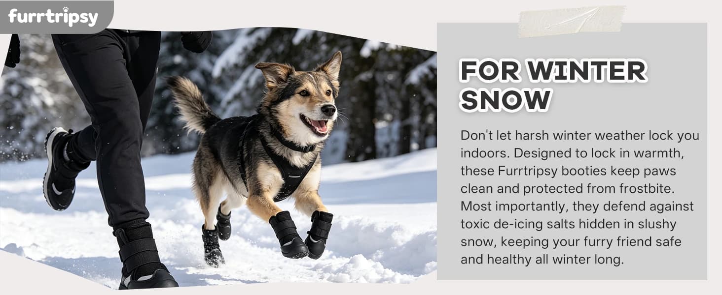 Dog Boots — Rugged Anti-Slip Sole Paw Protectors for Medium and Large Dogs — collection imagery