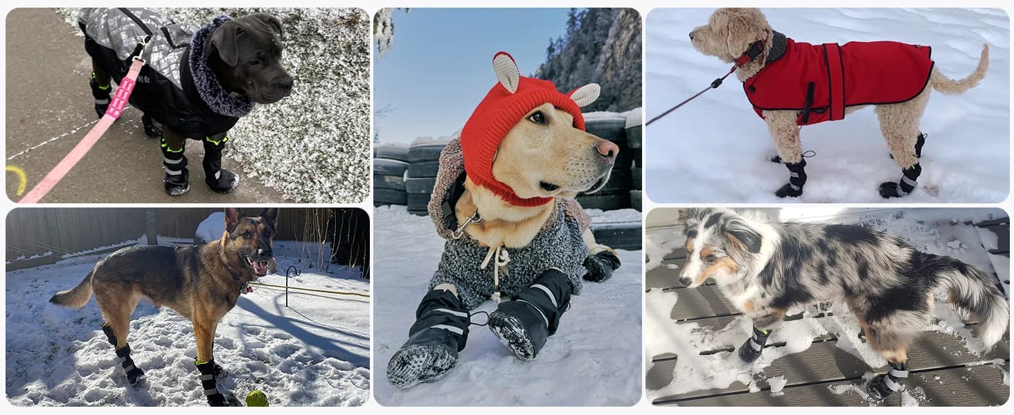 Winter Dog Boots for Large Dogs — product details
