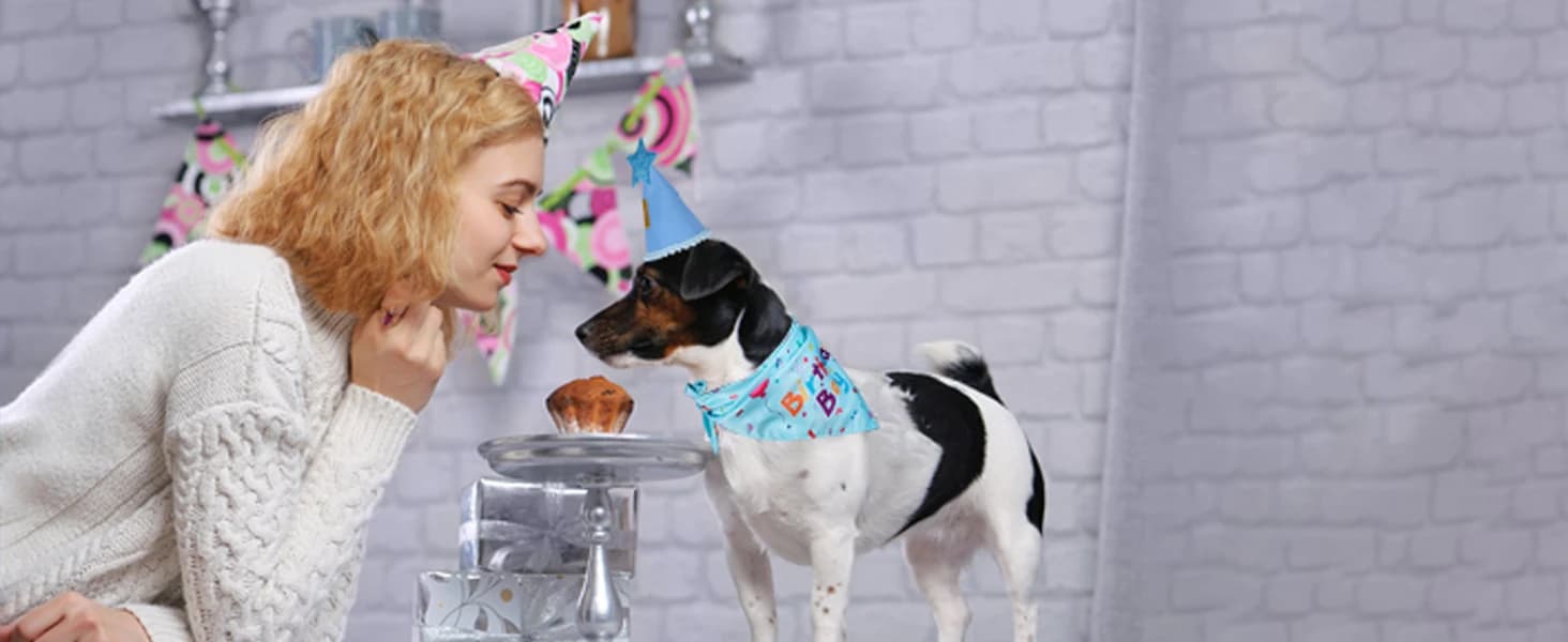 Dog Birthday Party Supplies — Dog Birthday Bandana — collection imagery