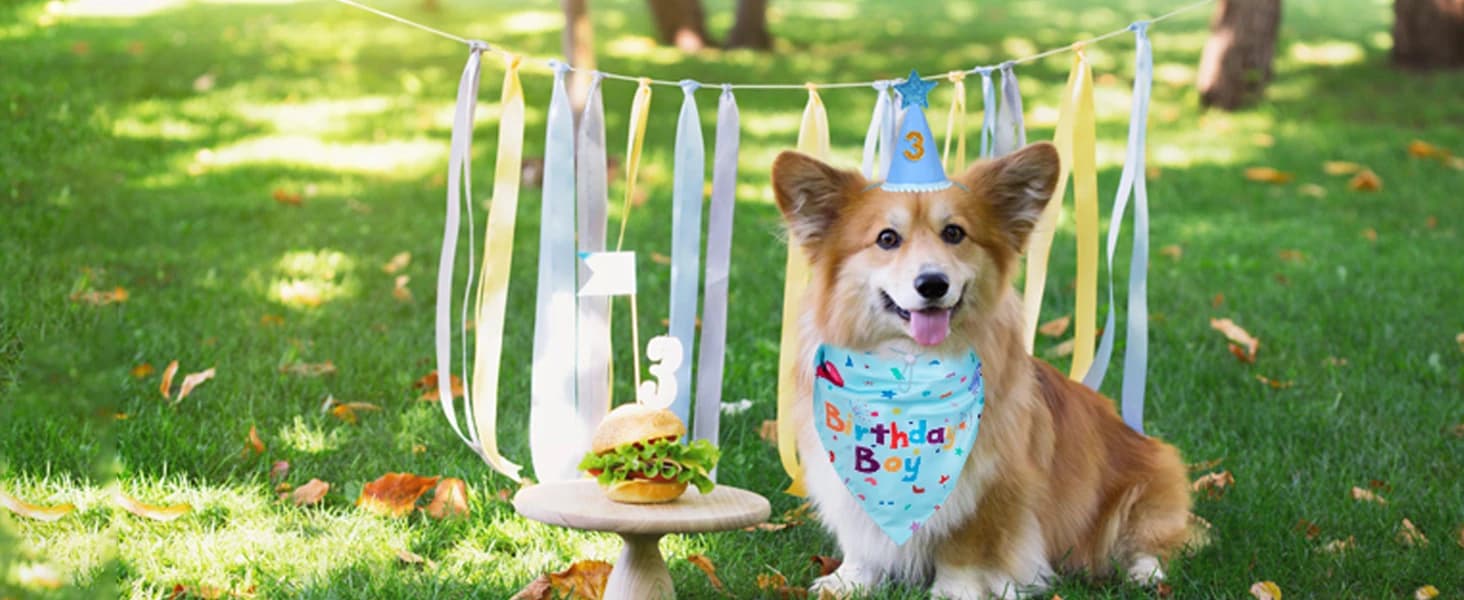 Dog Birthday Party Supplies — Dog Birthday Bandana — collection imagery