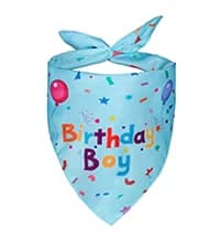 Dog Birthday Party Supplies — Dog Birthday Bandana — collection imagery