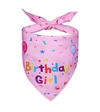 Dog Birthday Party Supplies — Dog Birthday Bandana — collection imagery