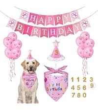 Dog Birthday Party Supplies — Dog Birthday Bandana — collection imagery