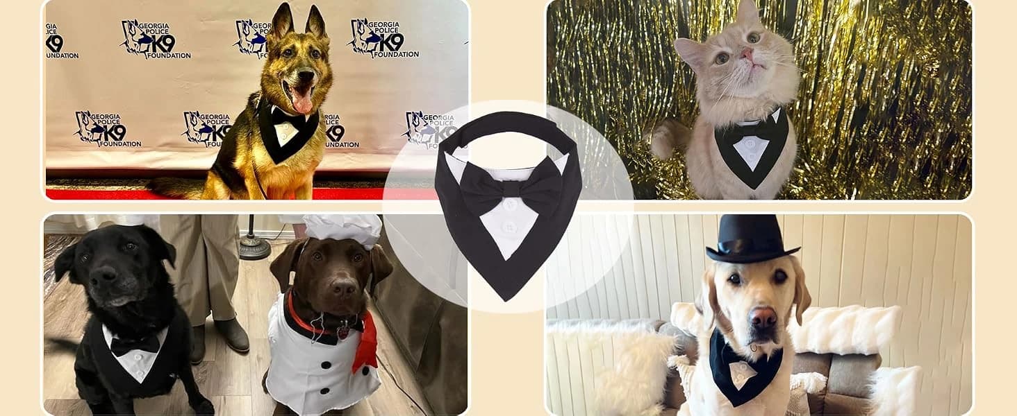 Dog Tuxedo Bandana — Wedding Birthday Dog Bow Tie — product details