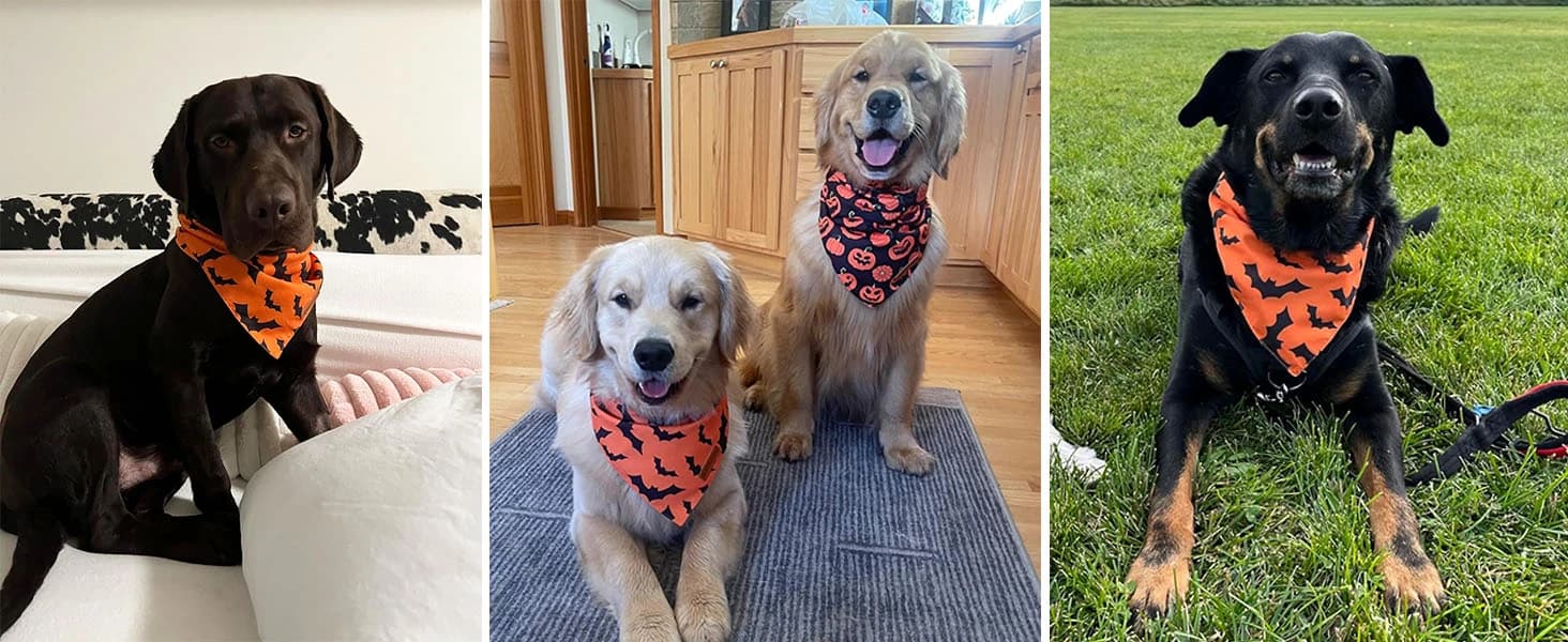 Dog Tuxedo Bandana — Wedding Birthday Dog Bow Tie — product details