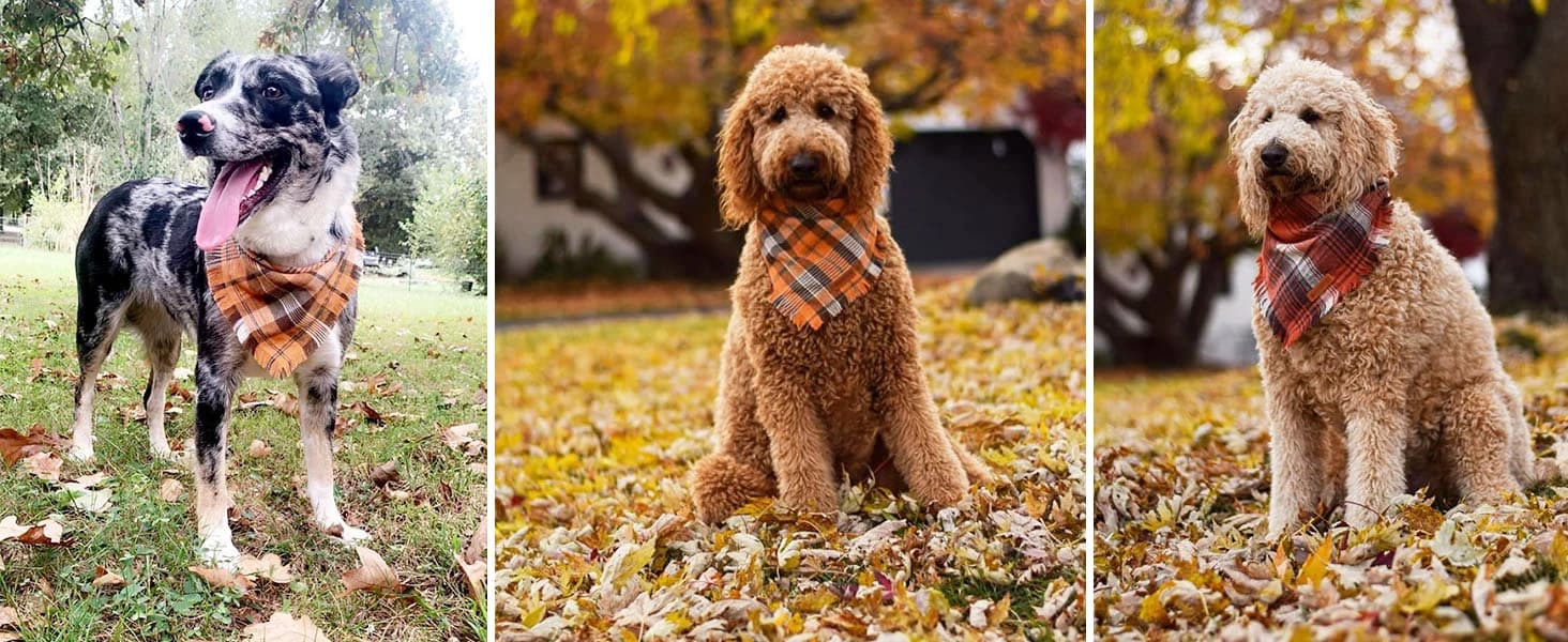 Dog Tuxedo Bandana — Wedding Birthday Dog Bow Tie — product details