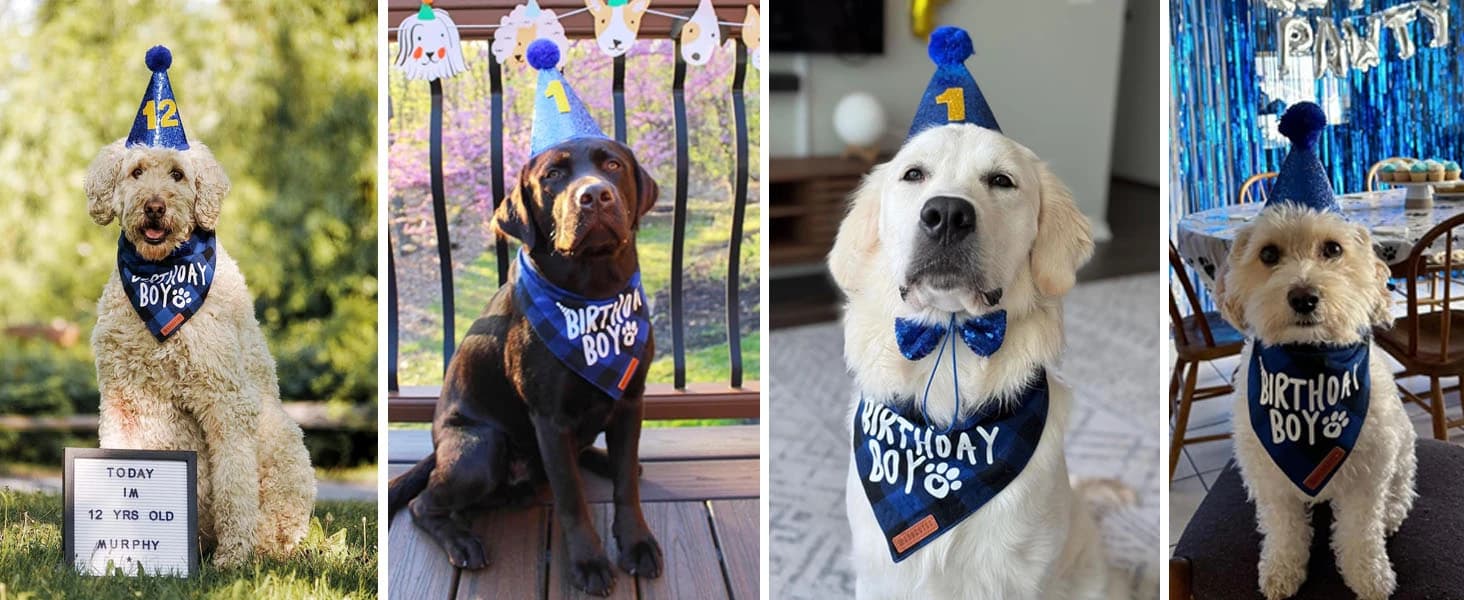 Dog Tuxedo Bandana — Wedding Birthday Dog Bow Tie — product details