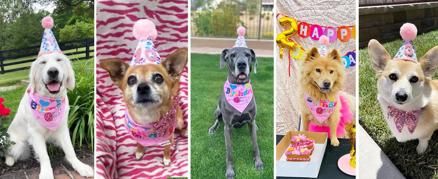 Dog Tuxedo Bandana — Wedding Birthday Dog Bow Tie — product details