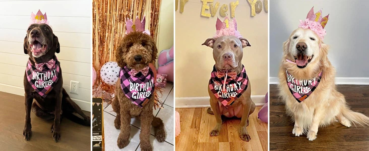 Dog Tuxedo Bandana — Wedding Birthday Dog Bow Tie — product details