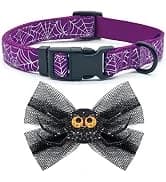 Reflective Dog Collar — Neoprene Padded Small Dog Collar — collection imagery