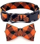Reflective Dog Collar — Neoprene Padded Small Dog Collar — collection imagery
