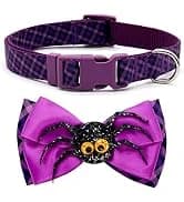 Reflective Dog Collar — Neoprene Padded Small Dog Collar — collection imagery