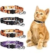 Reflective Dog Collar — Neoprene Padded Small Dog Collar — collection imagery