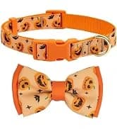 Reflective Dog Collar — Neoprene Padded Small Dog Collar — collection imagery