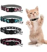 Reflective Dog Collar — Neoprene Padded Small Dog Collar — collection imagery