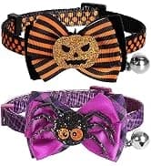 Reflective Dog Collar — Neoprene Padded Small Dog Collar — collection imagery