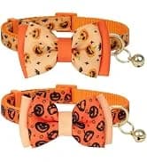 Reflective Dog Collar — Neoprene Padded Small Dog Collar — collection imagery