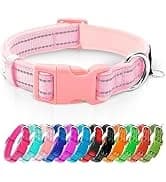 Reflective Dog Collar — Neoprene Padded Small Dog Collar — collection imagery