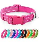 Reflective Dog Collar — Neoprene Padded Small Dog Collar — collection imagery