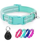 Reflective Dog Collar — Neoprene Padded Small Dog Collar — collection imagery