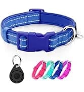 Reflective Dog Collar — Neoprene Padded Small Dog Collar — collection imagery